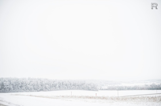 Frosty Horizon